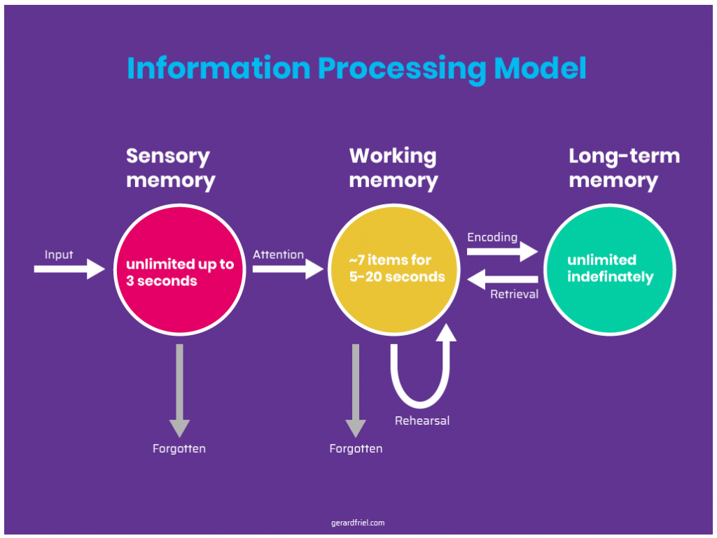 information-processing-model-cognitive-load-improving-dc/tn-red-ragged-fiend