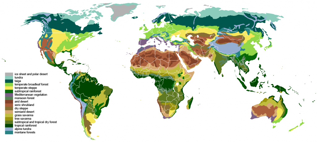 world-map-biomes-RedRaggedFiend.com
