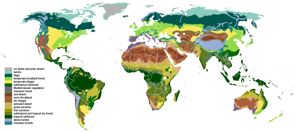 Complete Earth map with custom ore generation and accurate biomes